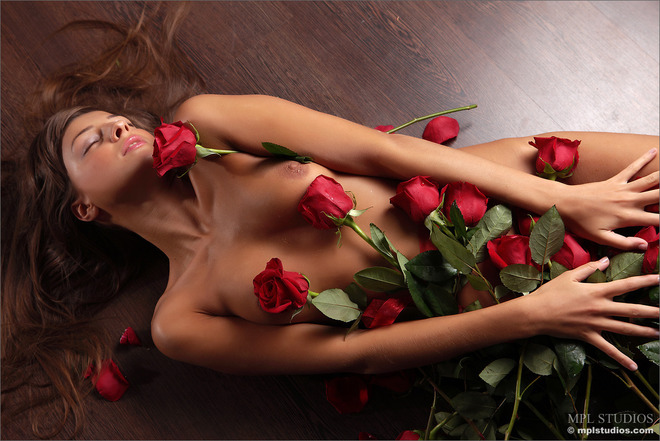 Naked Sexy Girl with Red Roses - picture 05