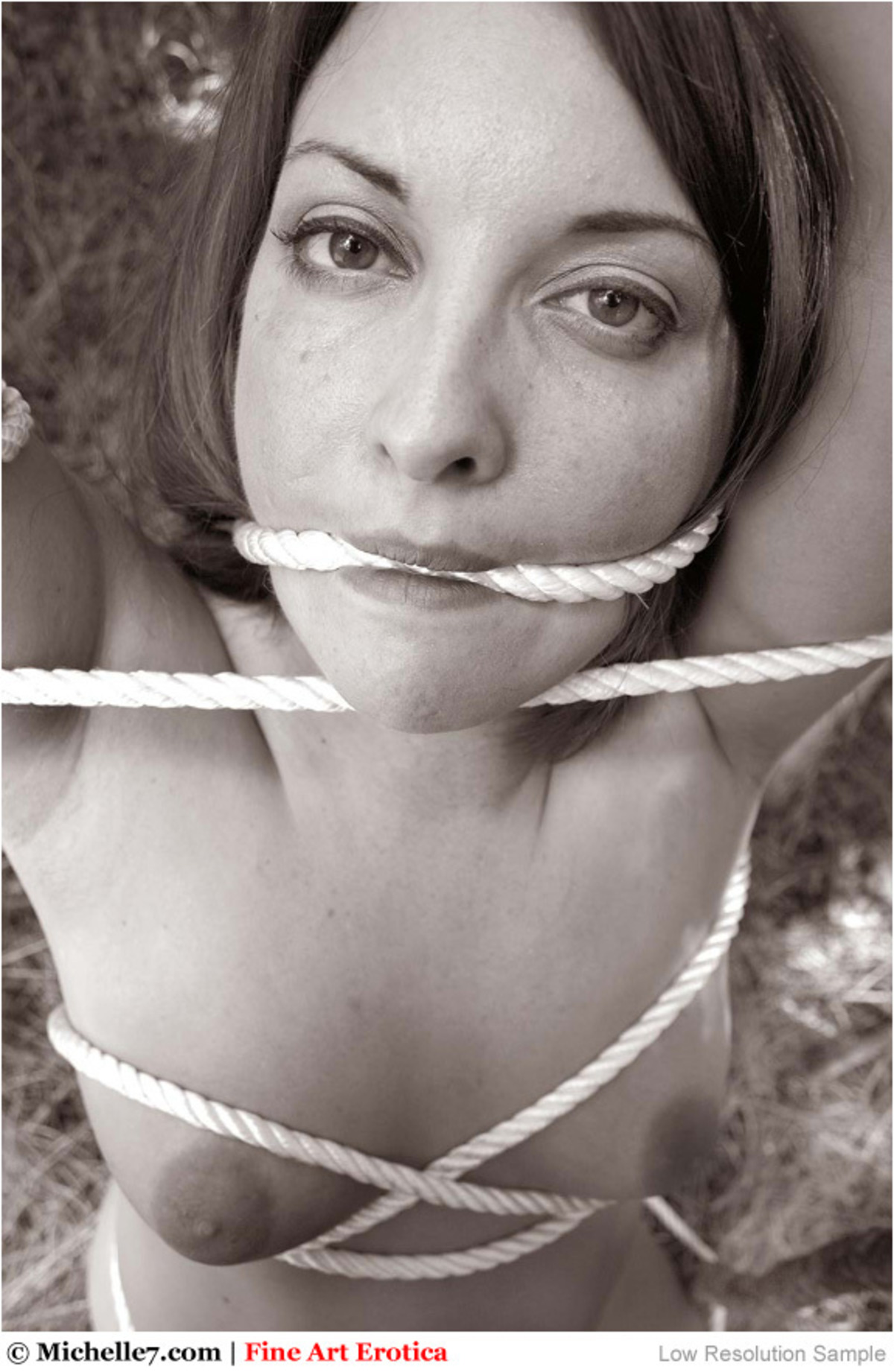 Natural Busty Alicia in Ropes - picture 02