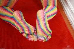 Dixie Lynn in Rainbow Fishnets - pics 02