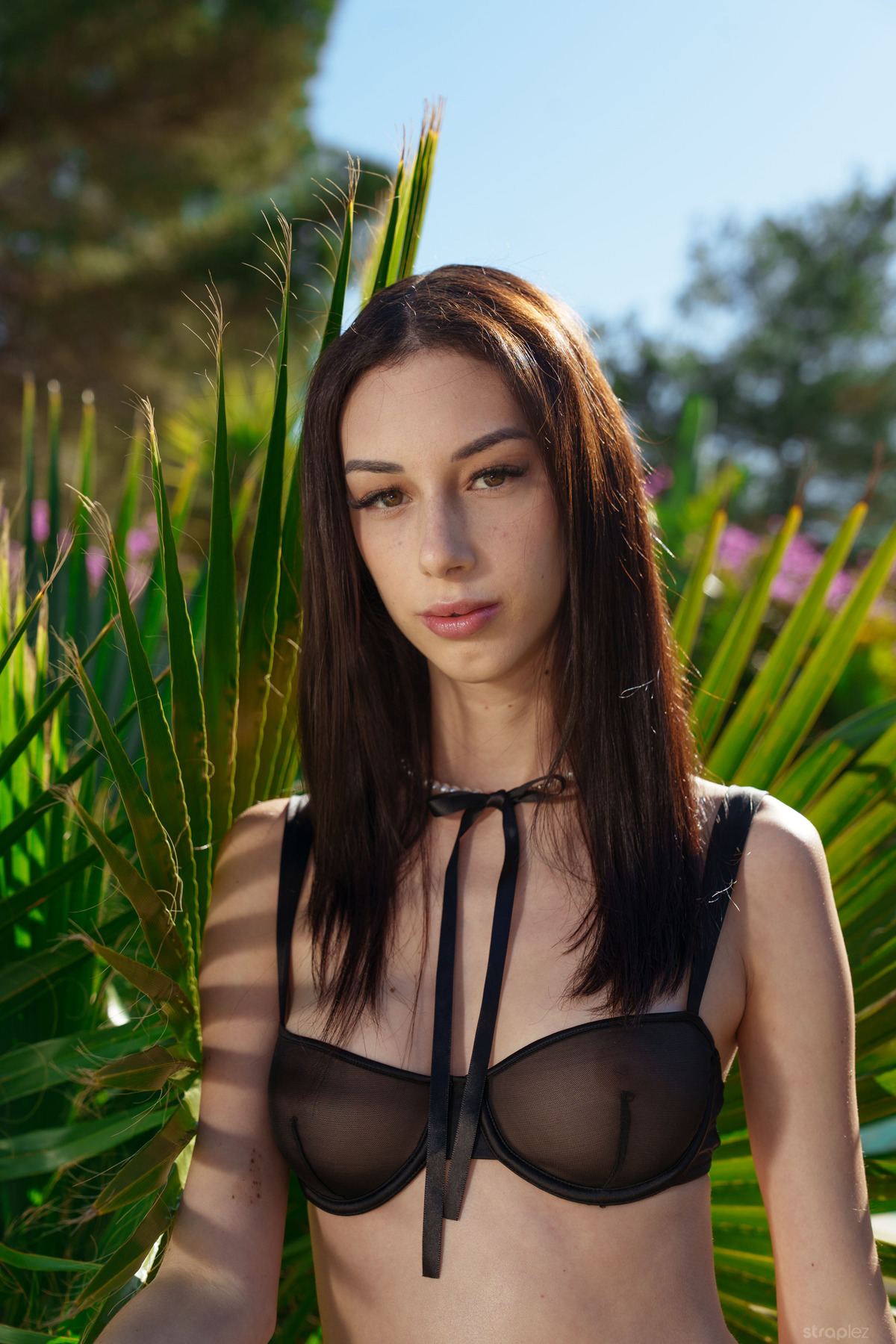 Casey Nohrman & Shania Vega - picture 03